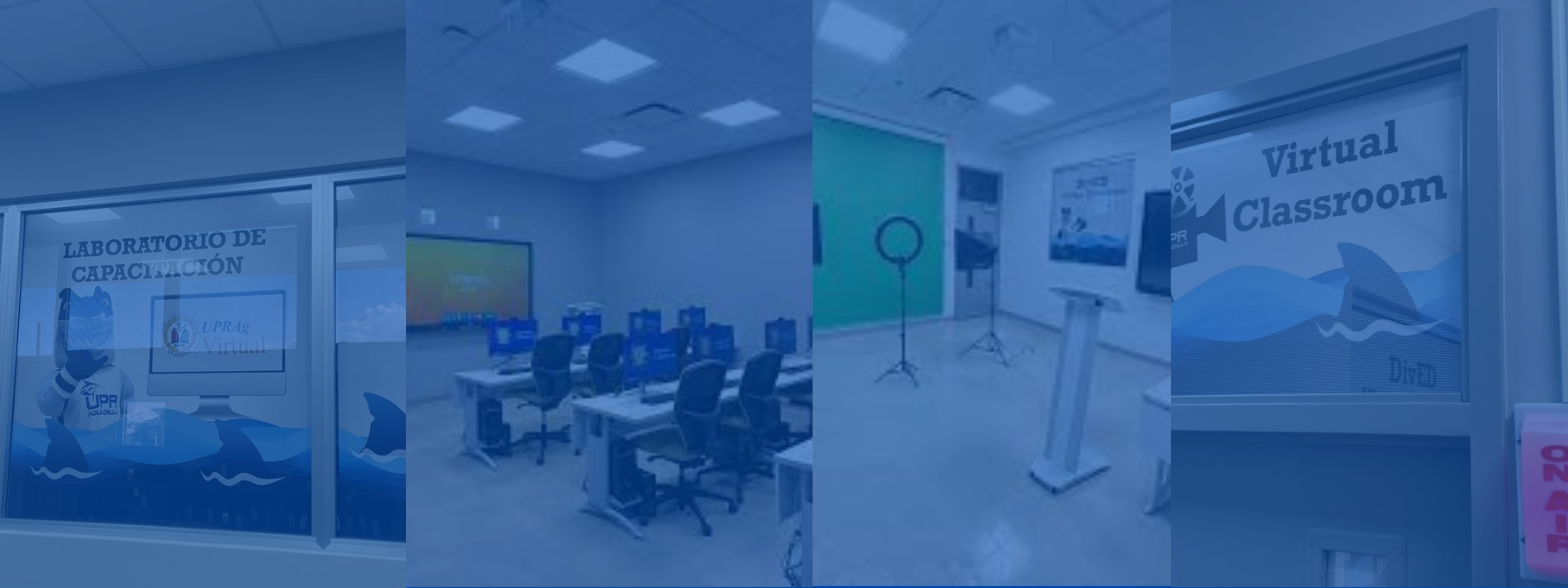 Cursos online 2 Banner Cursos online 2