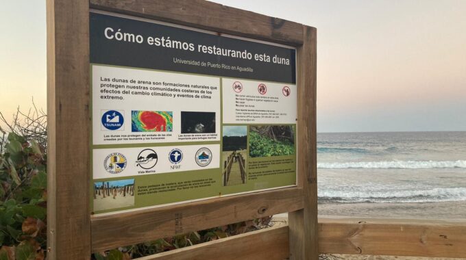 Foto Proyecto Vida Marina