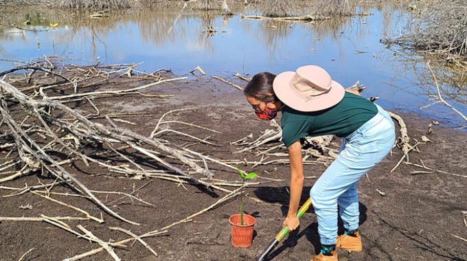 Amanda-Prieto-planting