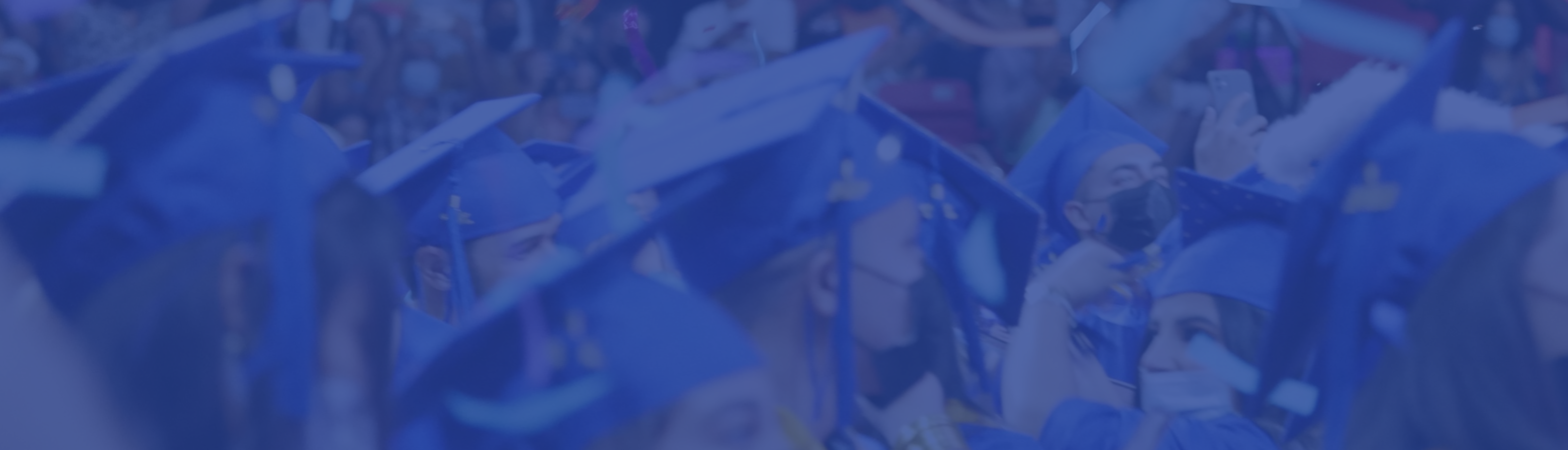 banner Programas Online graduandos