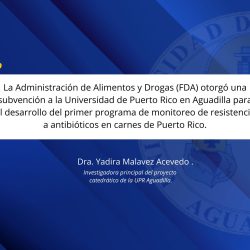 La Administración de Alimentos y Drogas (FDA) otorgó una subvención a la Universidad de Puerto Rico en Aguadilla para el desarrollo del primer programa de monitoreo de resistencia a antibióticos en carnes de Puerto Rico